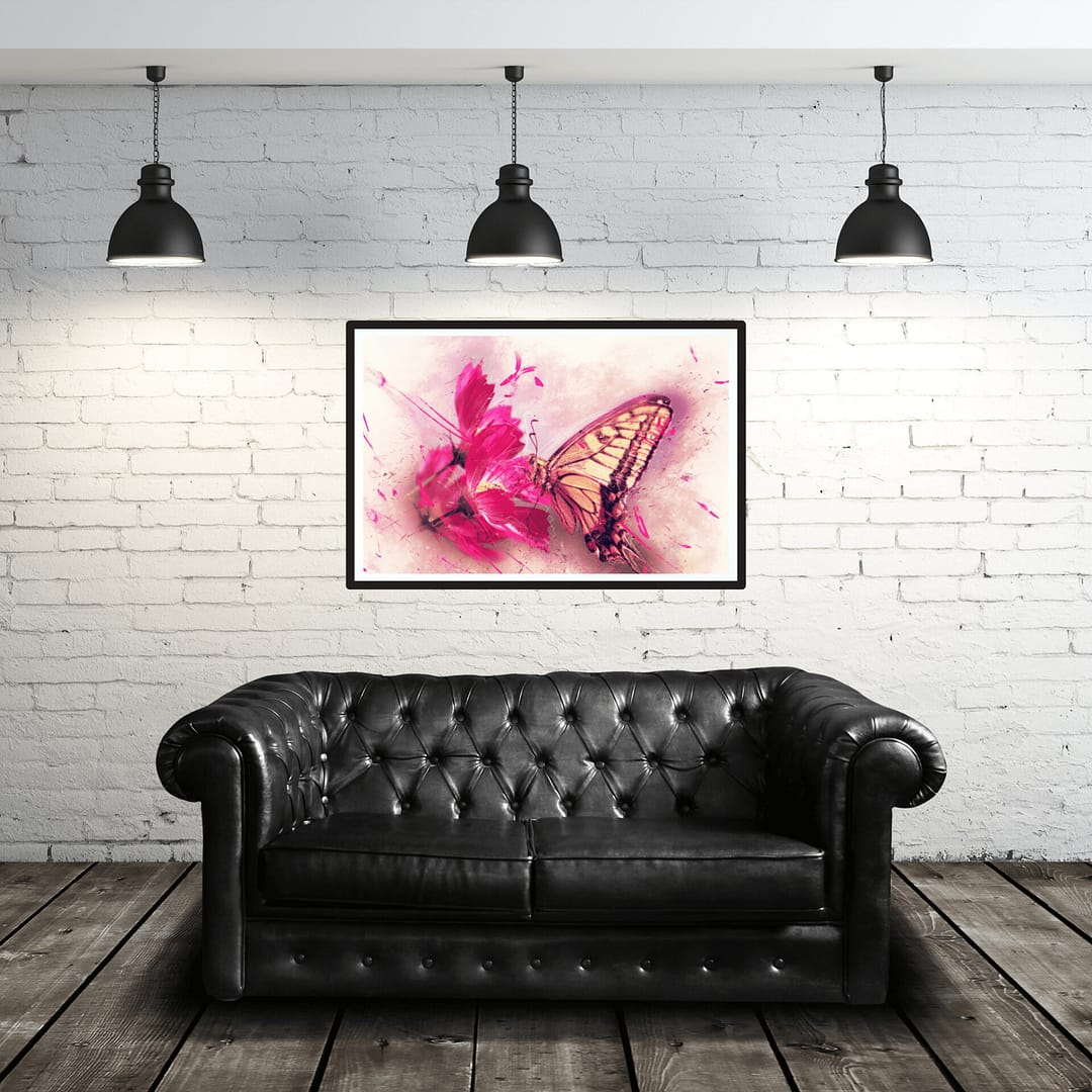 butterfly on cosmos 32 x 24 horizontal black 1 25 canvas 843